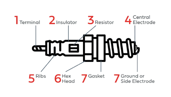 Spark Plugs